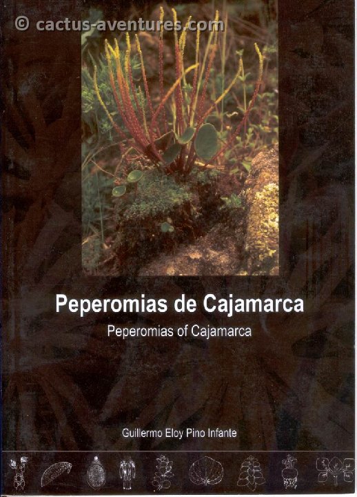 Peperomias de Cajamarca, Pérou, Guillermo Pino